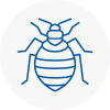 Bed Bug Extermination In Great Harwood