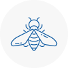 Bee Nest Removal Great Harwood