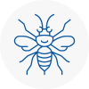 Great Harwood Hornet Nest Removals