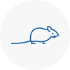 Mice Exterminators In Great Harwood