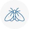 Moth Control Specialists In Great Harwood
