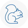 Great Harwood Rodent Removals